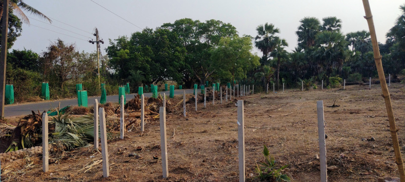  Warehouse 12 Guntha for Rent in Chandikhol, Jajpur