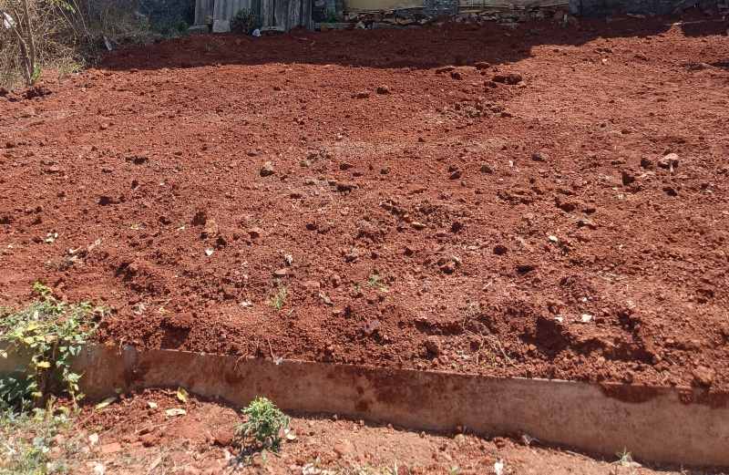  Residential Plot 1162 Sq.ft. for Sale in Yalakki Shettar Colony, Dharwad