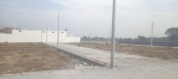  Residential Plot for Sale in Bilaspur, Greater Noida, Greater Noida