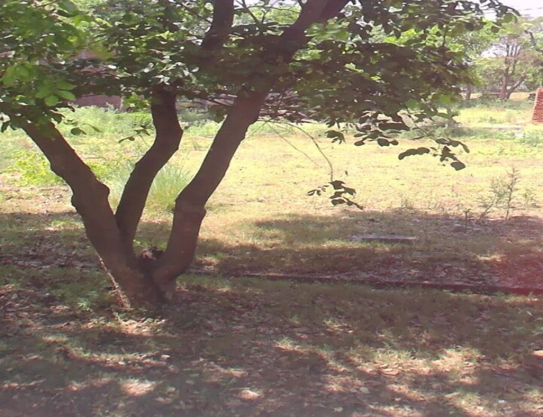  Residential Plot 72 Sq. Meter for Sale in New Moradabad