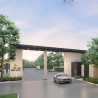  Residential Plot for Sale in Dholera, Ahmedabad