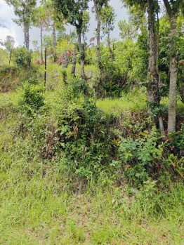  Residential Plot for Sale in Kausani, Almora