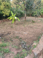  Residential Plot for Sale in Thalassery, Kannur