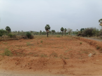  Agricultural Land for Sale in Anna Nagar, Virudhunagar