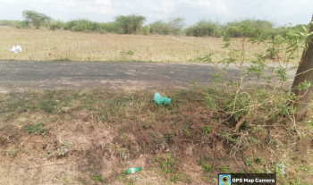 Agricultural Land for Sale in Srivilliputhur, Virudhunagar