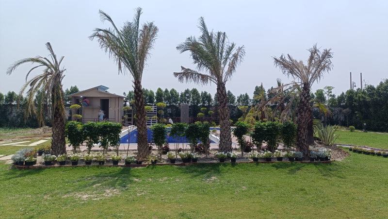  Residential Plot 200 Sq. Yards for Sale in Solra, Palwal