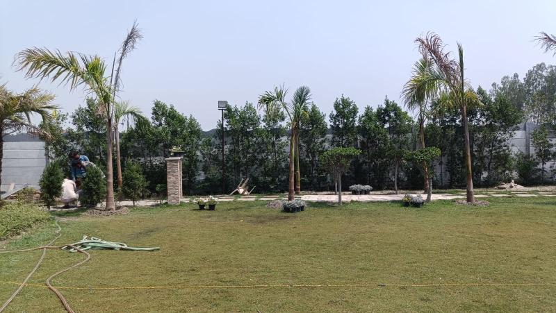  Residential Plot 200 Sq. Yards for Sale in Solra, Palwal