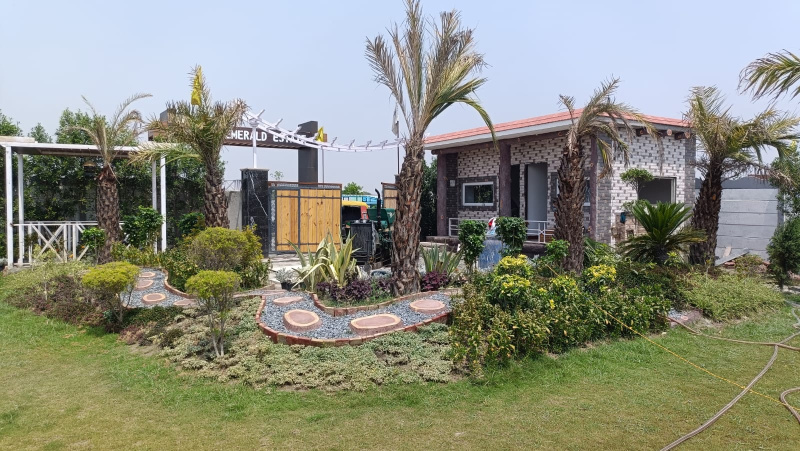  Residential Plot 200 Sq. Yards for Sale in Solra, Palwal