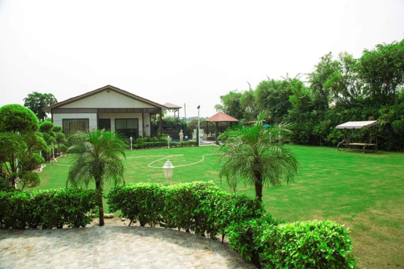 4 BHK Farm House 1008 Sq. Yards for Sale in Solra, Palwal