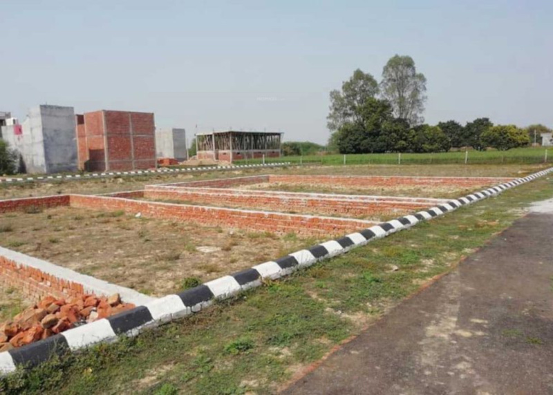  Residential Plot 300 Sq. Yards for Sale in Solra, Palwal