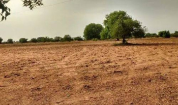  Residential Plot for Sale in Jewar, Gautam Buddha Nagar