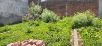  Residential Plot for Sale in Kunraghat, Gorakhpur