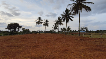  Agricultural Land for Sale in Hoskote, Bangalore