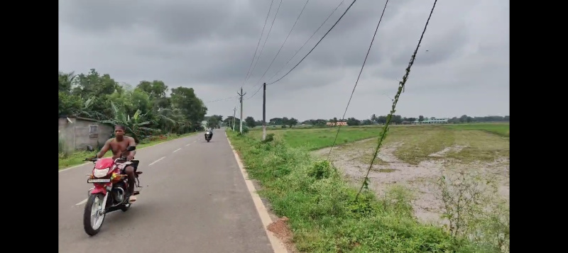  Agricultural Land 92 Dismil for Sale in Delanga, Puri