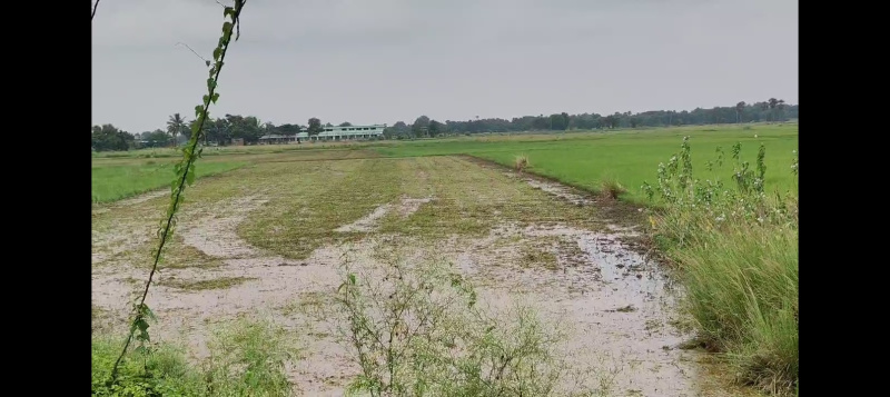  Agricultural Land 92 Dismil for Sale in Delanga, Puri