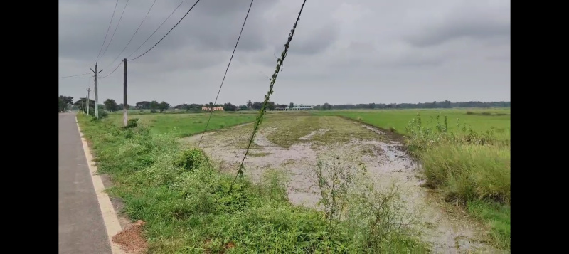  Agricultural Land 92 Dismil for Sale in Delanga, Puri