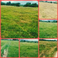  Agricultural Land for Sale in Kalasapakkam, Tiruvannamalai