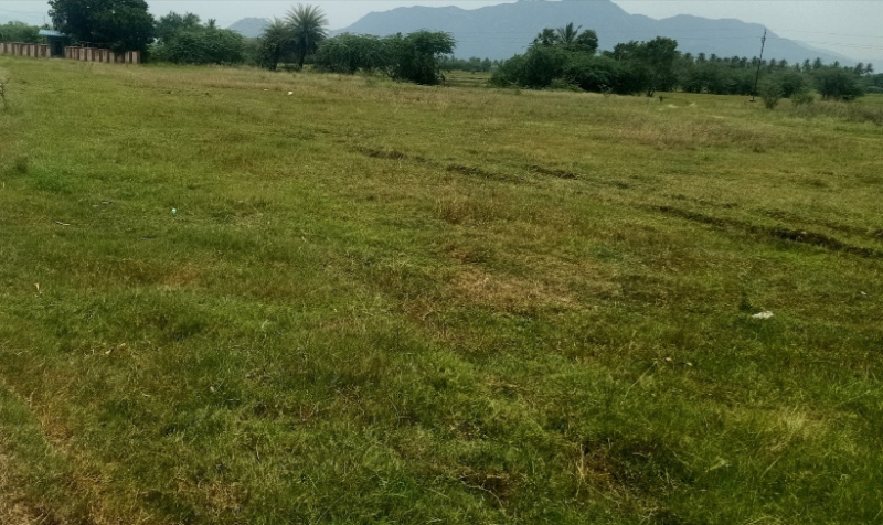  Agricultural Land 237 Sq.ft. for Sale in Polur, Tiruvannamalai