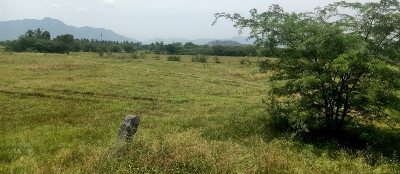  Agricultural Land 237 Sq.ft. for Sale in Polur, Tiruvannamalai