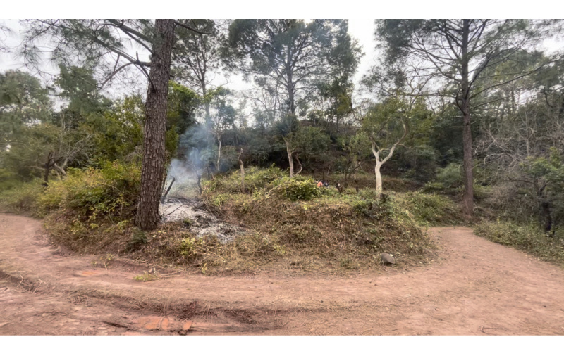  36 Biswa Residential Plot for Sale in Morni Hills, Panchkula