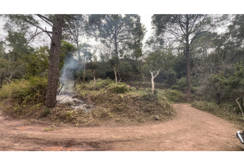  36 Biswa Residential Plot for Sale in Morni Hills, Panchkula