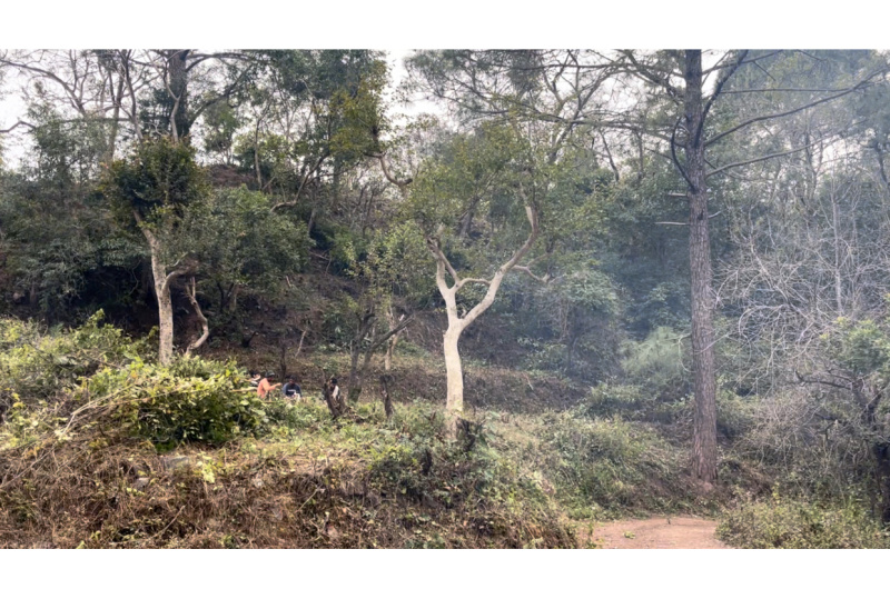  36 Biswa Residential Plot for Sale in Morni Hills, Panchkula