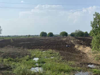  Agricultural Land for Sale in Barshi, Solapur