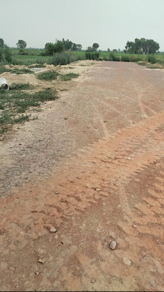  Residential Plot 130 Sq. Meter for Sale in Dankaur, Gautam Buddha Nagar