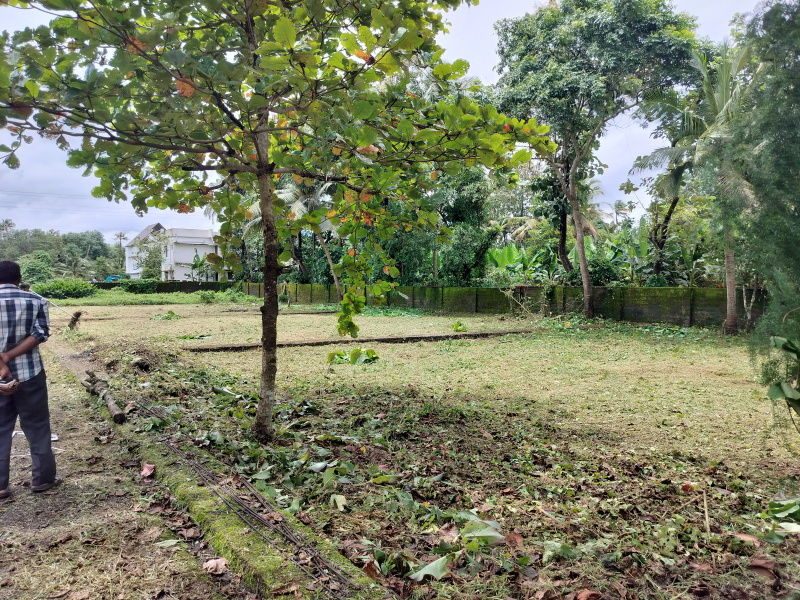  Residential Plot 8 Cent for Sale in Angamaly, Ernakulam