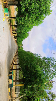  Residential Plot for Sale in Whitefield, Bangalore