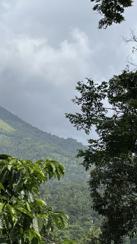  Agricultural Land for Sale in Pozhuthana, Wayanad