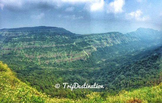  2000 Acre Residential Plot for Sale in Kamshet, Pune