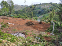  Agricultural Land for Sale in Avalanche Road, Ooty