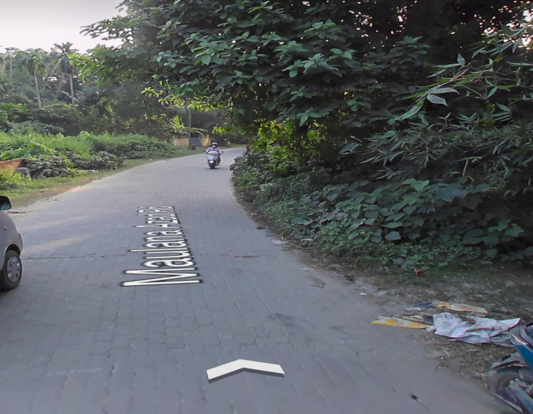  Residential Plot 10800 Sq.ft. for Sale in Doboka, Nagaon