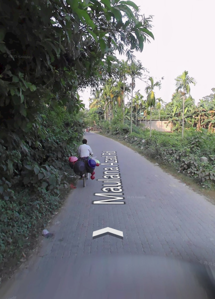  Residential Plot 10800 Sq.ft. for Sale in Doboka, Nagaon