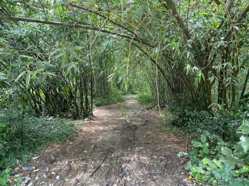  Residential Plot 10800 Sq.ft. for Sale in Doboka, Nagaon
