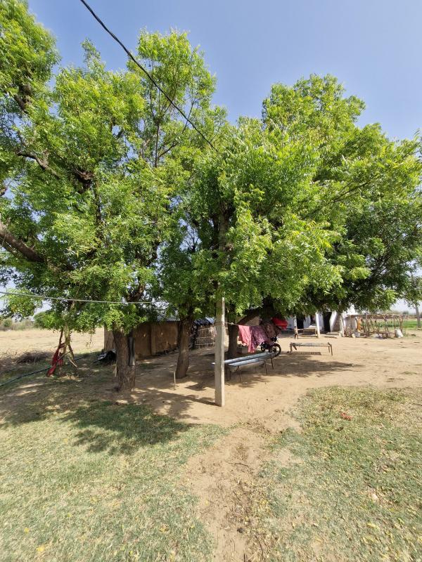  Residential Plot 8 Bigha for Sale in Phagi, Jaipur