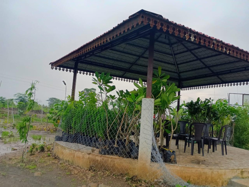  Agricultural Land 3000 Sq.ft. for Sale in Hingna, Nagpur