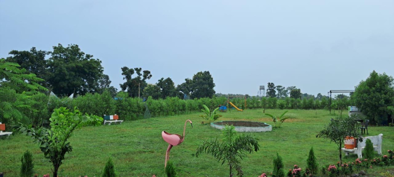  Agricultural Land 3000 Sq.ft. for Sale in Hingna, Nagpur