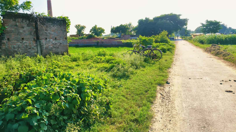  Residential Plot 9450 Sq.ft. for Rent in Mohansarai, Varanasi
