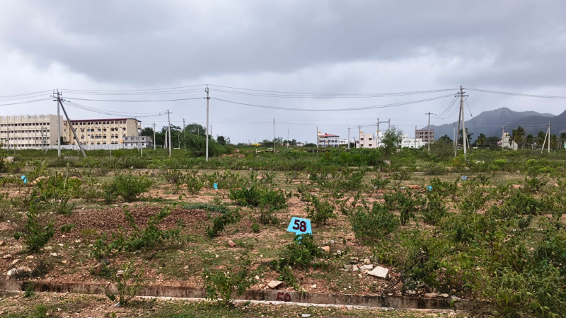  Residential Plot 1200 Sq.ft. for Sale in Hosdurga, Chitradurga