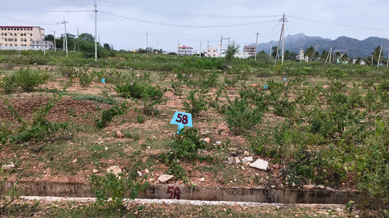  Residential Plot 1200 Sq.ft. for Sale in Hosdurga, Chitradurga