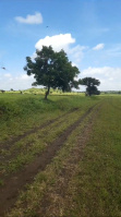  Agricultural Land for Rent in Chevella Mandla, Hyderabad