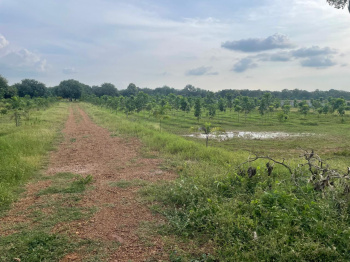  Residential Plot for Sale in Gannavaram, Vijayawada