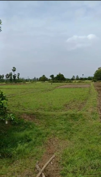  Agricultural Land 1 Acre for Sale in Mylavaram, Vijayawada