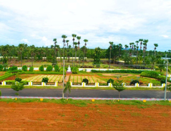  Residential Plot for Sale in Padmanabham, Visakhapatnam