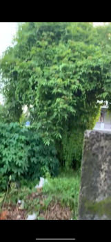  Residential Plot for Sale in Cheranallur, Kochi