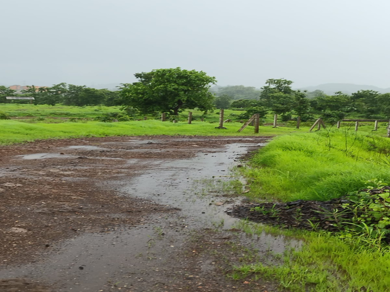 Talasari, Palghar photo 4
