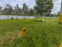  Residential Plot for Sale in Jakkur, Bangalore