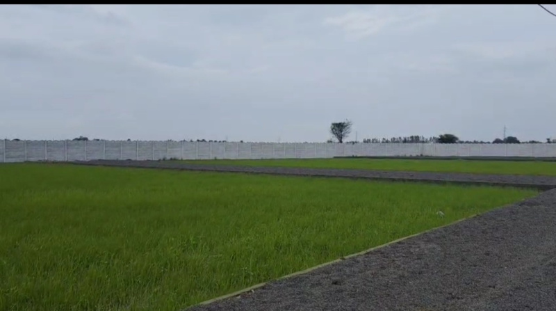  Residential Plot 2000 Sq.ft. for Sale in Jawa, Rewa